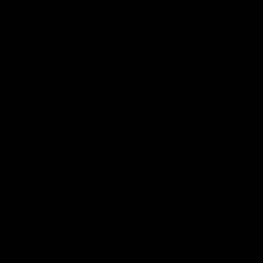 Цвет: Эбен
