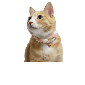 Ошейники для Кошек