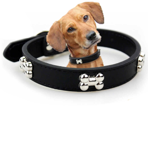 Ошейники для Собак