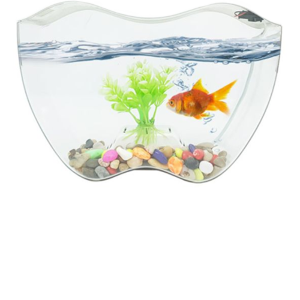 Аквариумистика