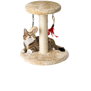 Когтеточки