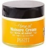JIGOTT Horse Oil Extract Moisture Cream 70ml Увлажняющий крем для лица с лошадиным жиром 70мл., купить с доставкой на дом фото 1 — Корейские товары для всей семьи(КорОпт)