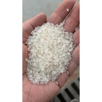 Рис ЗОЛОТОЙ, Приморский, 1й сорт, (мешок)