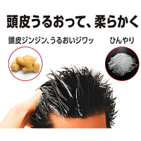 LION Pro Tec Protect Scalp Stretch Conditioner - Кондиционер для волос мужской, увлажняющий с легким охлаждающим эффектом