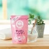 SHABONDAMA Soap Cleanser - Чистящий порошок для дома 160гр., купить с доставкой на дом фото 2 — Корейские товары для всей семьи(КорОпт)