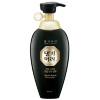 Daeng Gi Meo Ri New Gold Special Shampoo - Укрепляющий шампунь 500мл., купить с доставкой на дом фото 2 — Корейские товары для всей семьи(КорОпт)