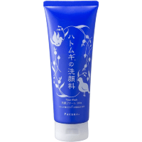 ‎Paen'na Pigment Cleanser - Пенка для умывания увлажняющая с экстрактом бусенника 200гр.