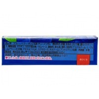 LOTTE Chewing Gum  - Жевательная резинка Голубика 26,1гр., в упаковке 15 пачек