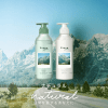 KAO PYUAN Benefit Pure Natural Minty & Muguet Scent, Conditioner - Натуральный кондиционер для волос с ароматом мяты и ландыша 425мл. фото 3 &mdash; Корейские товары для всей семьи(КорОпт)