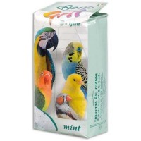 FIORY песок для птиц Grit Mint мята 1кг.
