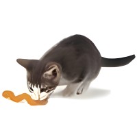 Petstages игрушка для кошек Energize 'ОPKA червяк' 11 см