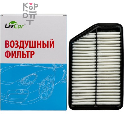LIVCAR Air Filter LCY000/26022A - Воздушный фильтр для HYUNDAI