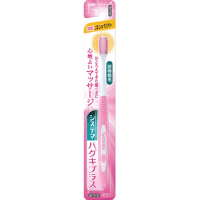 LION Dentor Systema Зубная щётка с прямой ручкой и экстратонкими концами щетинок, средняя жесткость