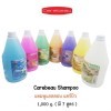 Carebeau Shampoo - Шампунь для всех типов волос, 1000мл., купить с доставкой на дом фото 1 — Корейские товары для всей семьи(КорОпт)