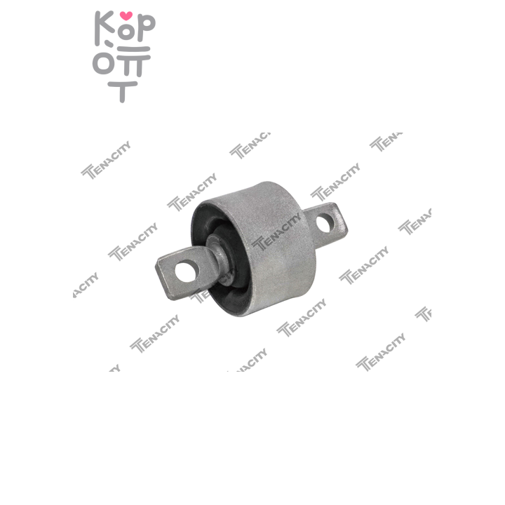 Сайлентблок 4120A125 GV0668, AAMMI1052 OUTLANDER CW# заднего продольного рычага TENACITY