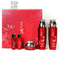 Daandan Premium Red Ginseng 3 Set - Набор средств для питания и ухода с Красным Женьшенем (тонер, эмульсия, крем). 