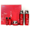 Daandan Premium Red Ginseng 3 Set - Набор средств для питания и ухода с Красным Женьшенем (тонер, эмульсия, крем). , купить с доставкой на дом фото 1 &mdash; Корейские товары для всей семьи(КорОпт)