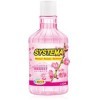 LION Systema - Ополаскиватель для полости рта, купить с доставкой на дом фото 11 — Корейские товары для всей семьи(КорОпт)
