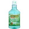 LION Systema - Ополаскиватель для полости рта, купить с доставкой на дом фото 16 — Корейские товары для всей семьи(КорОпт)