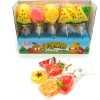Леденцы MangGuo Фрукты на палочке, купить с доставкой на дом фото 1 — Корейские товары для всей семьи(КорОпт)
