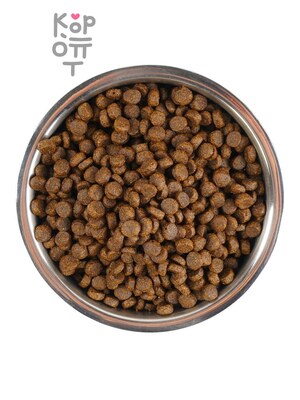 Сухой корм Monge Dog Speciality Line Monoprotein для щенков мелких пород, из лосося с рисом