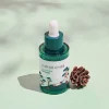 Round Lab Pine Calming Cica Ampoule - Успокаивающая сыворотка с экстрактом иголок сосны, 30мл.  , купить с доставкой на дом фото 1 &mdash; Корейские товары для всей семьи(КорОпт)