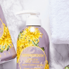 Jigott Chrysanthemum Perfume Body Lotion Парфюмированный лосьон для тела Хризантема 500мл., купить с доставкой на дом фото 2 — Корейские товары для всей семьи(КорОпт)