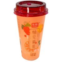 Сокосодержащий напиток Lebin Grape Pomelo со вкусом Грейпфрута и Памело, 650мл.