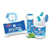Lotte Xylitol Fresh Mint Резинка жевательная с освежающей мятой, 29 г