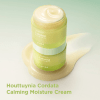 GOODAL Houttuynia Cordata Calming Moisture Cream - Успокаивающий крем для чувствительной кожи 75мл., купить с доставкой на дом фото 3 &mdash; Корейские товары для всей семьи(КорОпт)