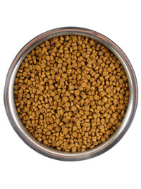Сухой корм Monge Cat Speciality Line Monoprotein для котят и беременных кошек, из говядины