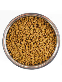 Сухой корм Monge Cat Speciality Line Monoprotein для котят и беременных кошек, из говядины