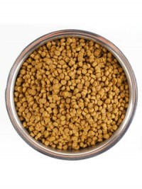 Сухой корм Monge Cat Speciality Line Monoprotein для котят и беременных кошек, из говядины