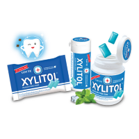 Резинка жевательная с освежающей мятой Xylitol Fresh Mint Lotte, 11,6 г
