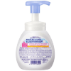 KAO Biore U Foaming Hand Soap - Антибактериальное мыло-пенка для рук с легким цитрусовым ароматом., купить с доставкой на дом фото 2 — Корейские товары для всей семьи(КорОпт)