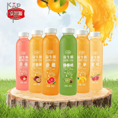 Фруктовый пробиотический напиток Jingzhiyuan Probiotics с кусочками фруктов и витамином С, 500мл. — Корейские товары для всей семьи(КорОпт)