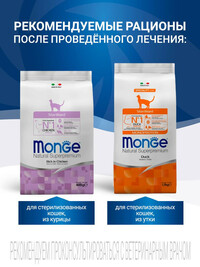 Диетический корм Monge VetSolution Cat Gastrointestinal гастро интестинал для кошек при заболеваниях ЖКТ