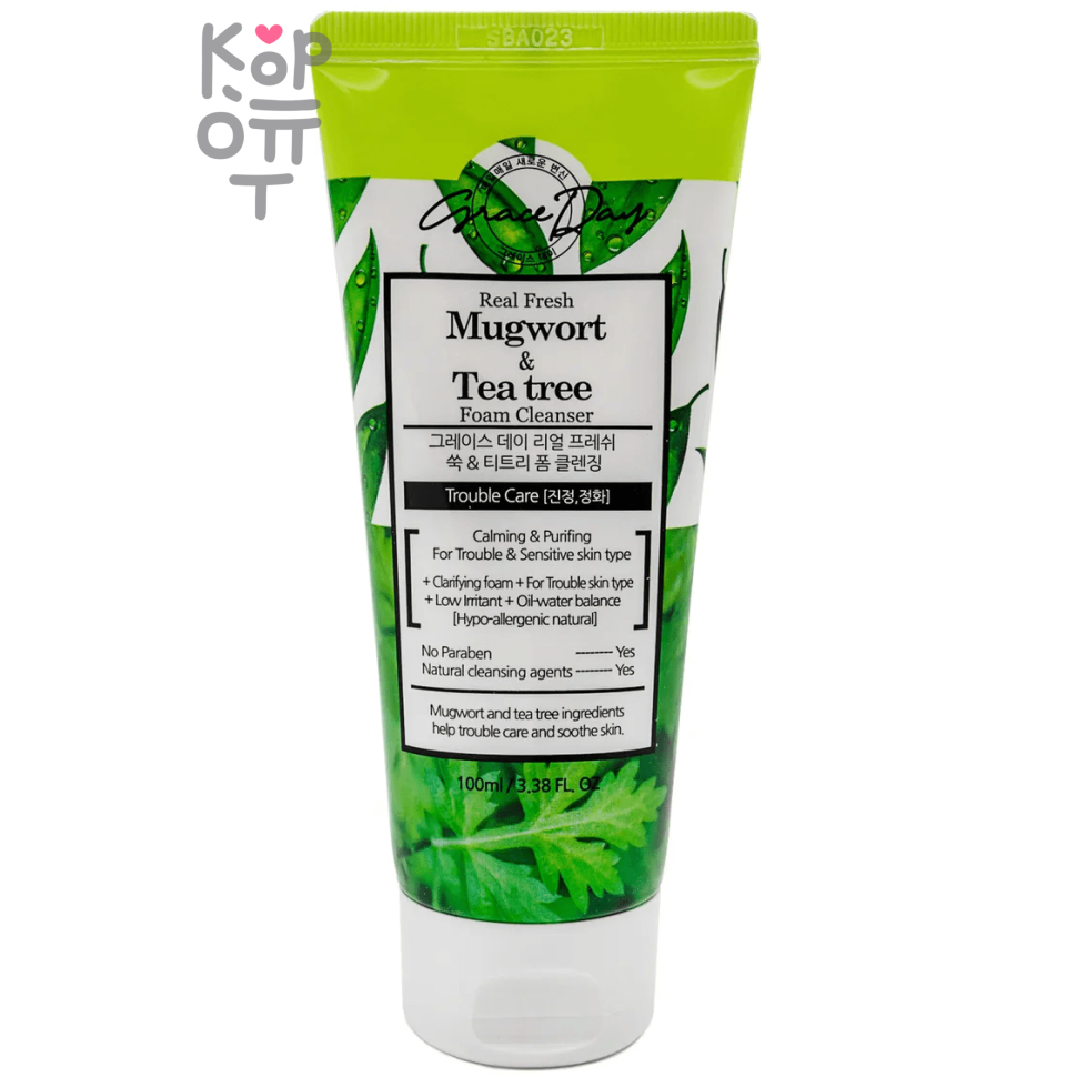 Grace Day REAL FRESH MUGWORT & TEE-TREE FOAM CLEANSER Освежающая пенка для умывания с полынью и чайным деревом 100мл