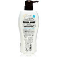 KOSE Salon Style Argan Oil & Organic Herbs Shampoo - Восстанавливающий шампунь с аргановым маслом и экстрактом трав.