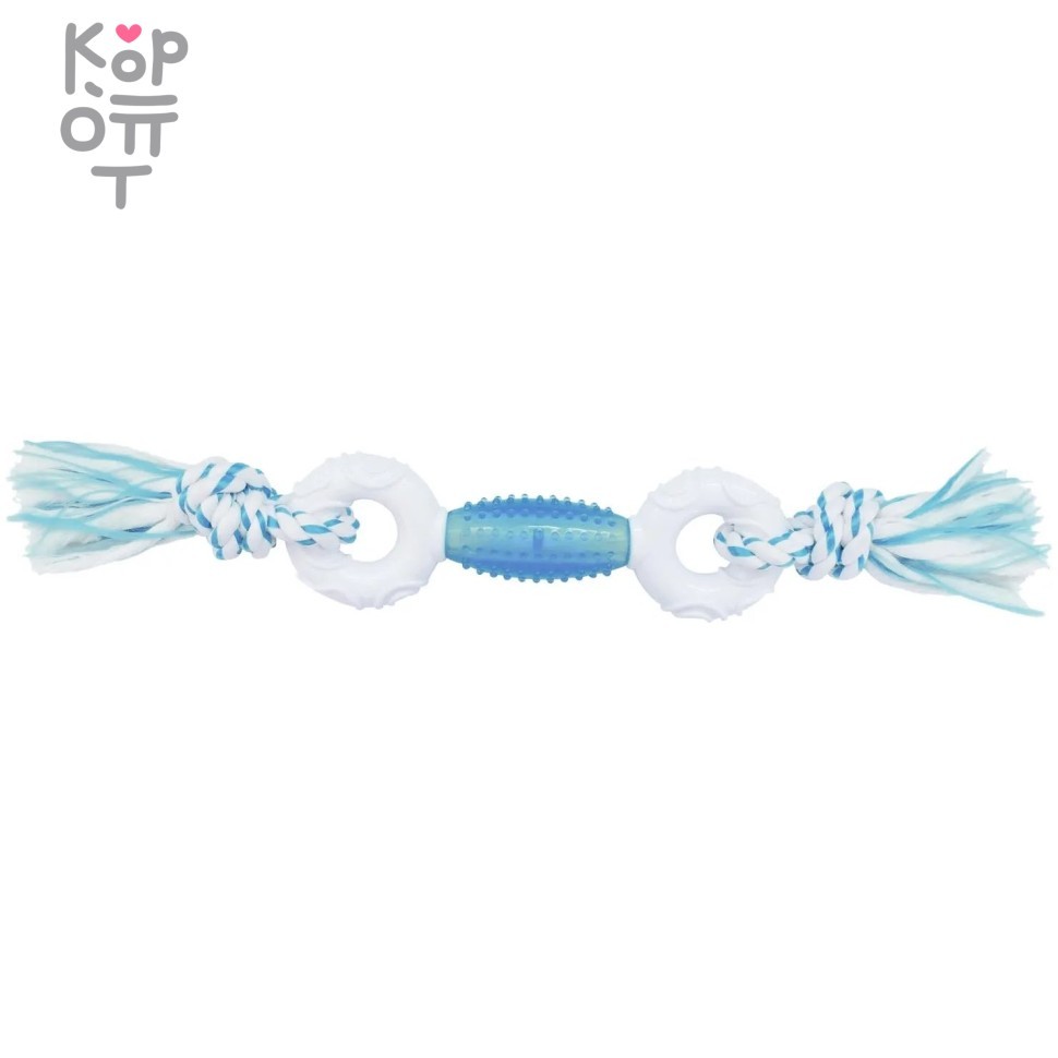 CanineClean игрушка для собак Регби и 2 кольца нейлон/синтетическая резина 39 см с ароматом мяты, голубой, купить с доставкой на дом фото 1 — Корейские товары для всей семьи(КорОпт)