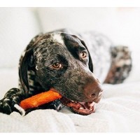 Petstages игрушка для собак Mesquite Dogwood с ароматом барбекю 18 см средняя