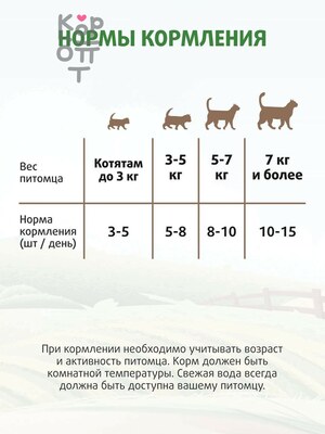 Лакомство Ферма кота Федора хрустящие подушечки для кошек и котят с паштетом из курицы 40гр.