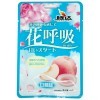Конфеты карамельные TengDa Цветочное дыхание - вкус Персика, купить с доставкой на дом фото 3 — Корейские товары для всей семьи(КорОпт)