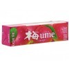 LOTTE Chewing Gum  - Жевательная резинка Умэ, со вкусом японской сливы 26,1гр., купить с доставкой на дом фото 2 — Корейские товары для всей семьи(КорОпт)