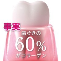 LION Dentor Systema Haguki Plus Зубная паста для профилактики болезней десен, 90гр.