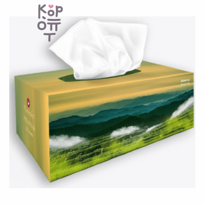 Kaineko Premium Aroma Green Tea - Двухслойные бумажные салфетки с ароматом зеленого чая, 250 шт