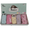 V KIDS Трусики для девочек Rabbit, упаковка 5шт., Ю.Корея. , купить с доставкой на дом фото 2 — Корейские товары для всей семьи(КорОпт)