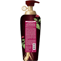 Daeng Gi Meo Ri Vitalizing Energy Shampoo - Шампунь для роста волос с экстрактом Женьшеня 500мл.