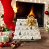 Новогодний подарок - Сладкий набор, 950гр., купить с доставкой на дом фото 8 &mdash; Корейские товары для всей семьи(КорОпт)