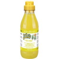 ISB Fruit of the Grommer Ginger&Elderbery Шампунь для любого типа шерсти против раздражений и перхоти